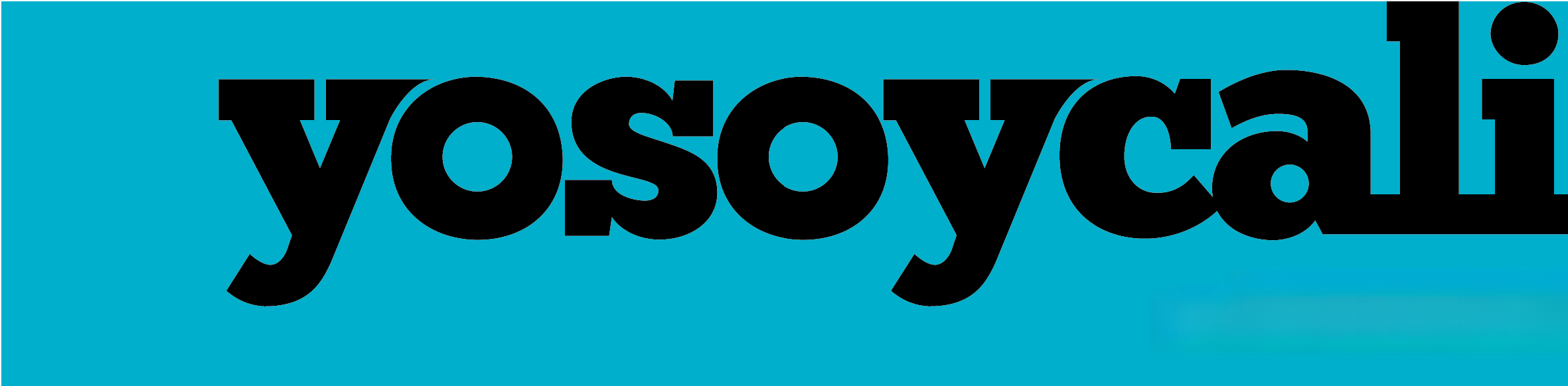 YSC_Mesa de trabajo 1 copia (1)